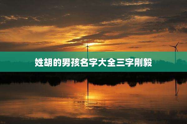 姓胡的男孩名字大全三字刚毅