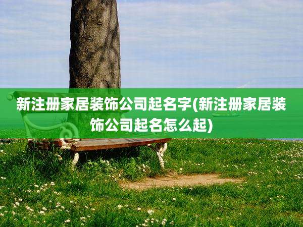 新注册家居装饰公司起名字(新注册家居装饰公司起名怎么起)