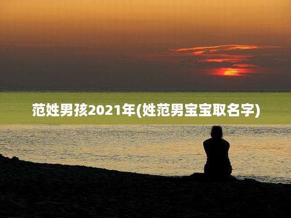 范姓男孩2021年(姓范男宝宝取名字)