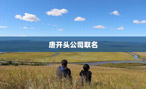 唐开头公司取名