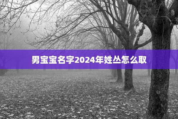 男宝宝名字2024年姓丛怎么取