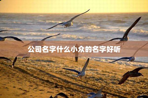 公司名字什么小众的名字好听