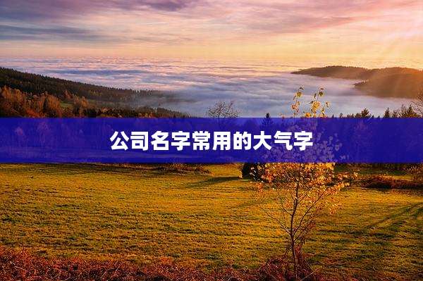 公司名字常用的大气字