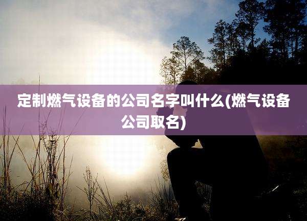 定制燃气设备的公司名字叫什么(燃气设备公司取名)