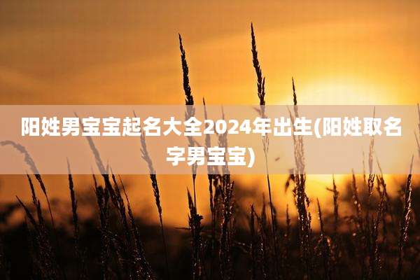 阳姓男宝宝起名大全2024年出生(阳姓取名字男宝宝)