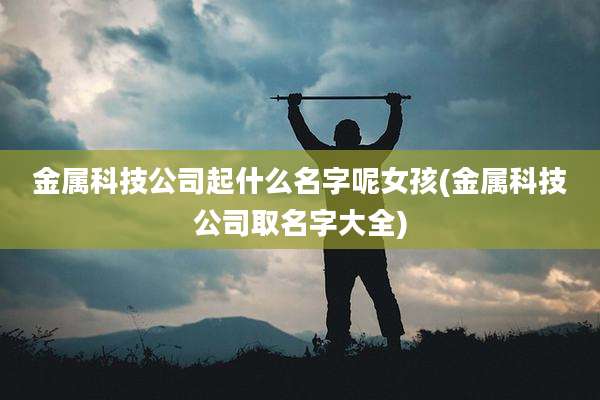 金属科技公司起什么名字呢女孩(金属科技公司取名字大全)