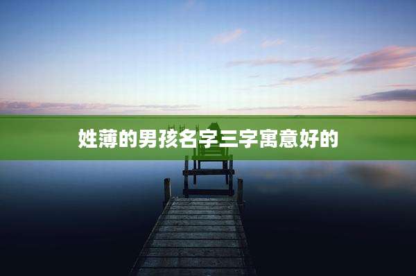 姓薄的男孩名字三字寓意好的