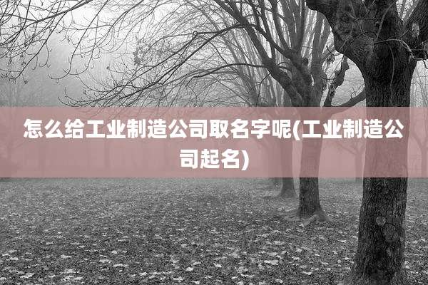 怎么给工业制造公司取名字呢(工业制造公司起名)