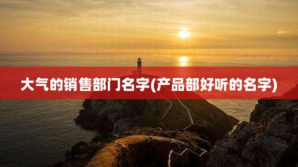 大气的销售部门名字(产品部好听的名字)