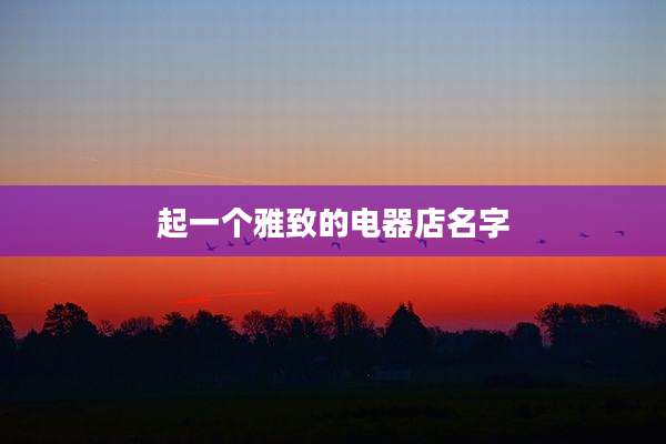 起一个雅致的电器店名字