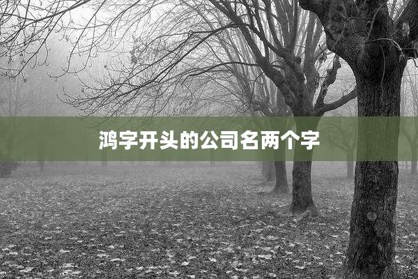 鸿字开头的公司名两个字