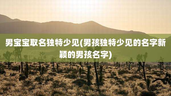 男宝宝取名独特少见(男孩独特少见的名字新颖的男孩名字)