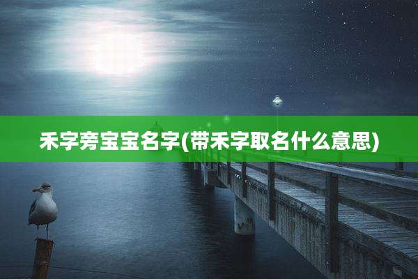 禾字旁宝宝名字(带禾字取名什么意思)