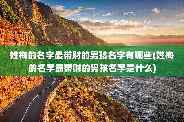 姓梅的名字最带财的男孩名字有哪些(姓梅的名字最带财的男孩名字是什么)