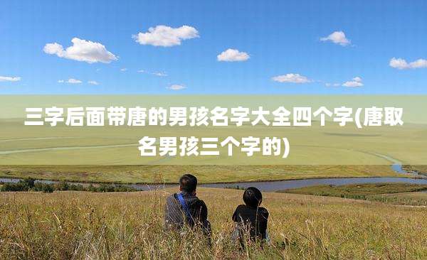三字后面带唐的男孩名字大全四个字(唐取名男孩三个字的)
