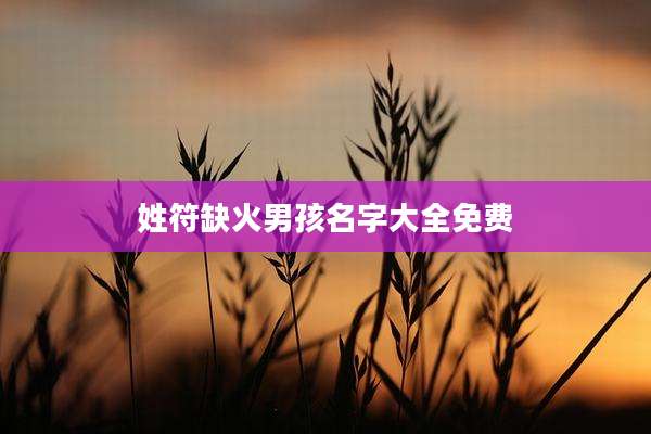 姓符缺火男孩名字大全免费