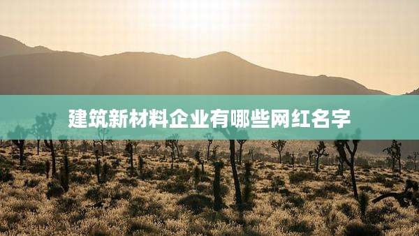 建筑新材料企业有哪些网红名字