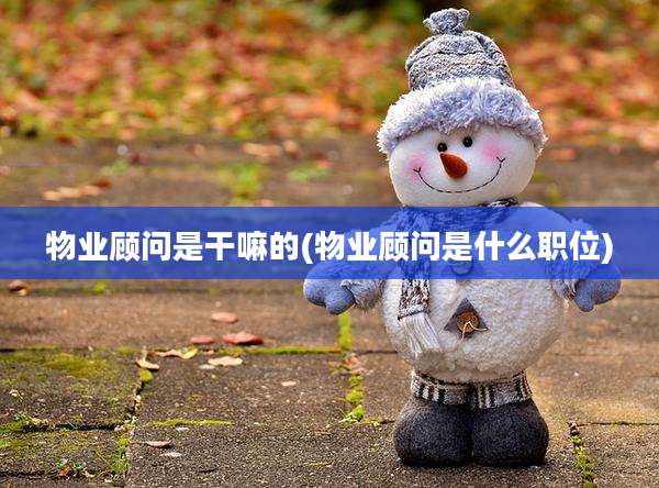 物业顾问是干嘛的(物业顾问是什么职位)