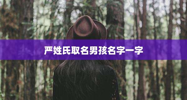 严姓氏取名男孩名字一字