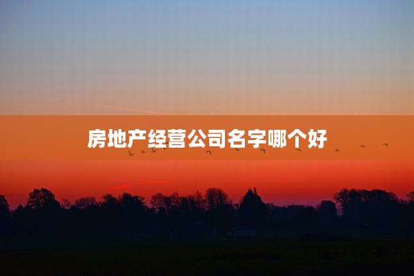 房地产经营公司名字哪个好