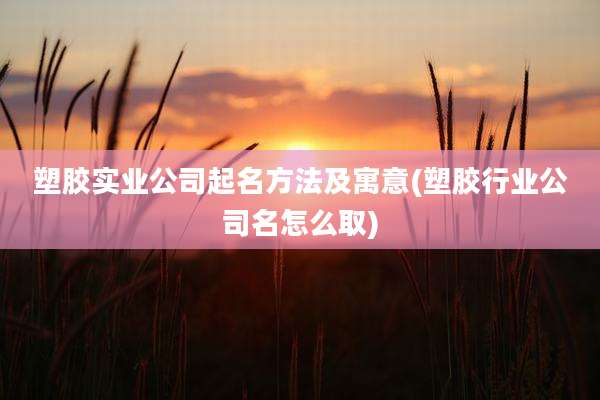 塑胶实业公司起名方法及寓意(塑胶行业公司名怎么取)