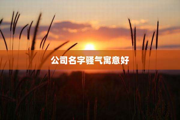 公司名字骚气寓意好