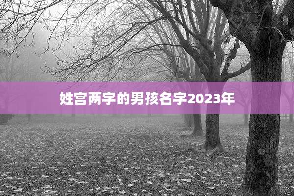 姓宫两字的男孩名字2023年
