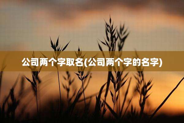 公司两个字取名(公司两个字的名字)