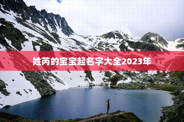 姓芮的宝宝起名字大全2023年