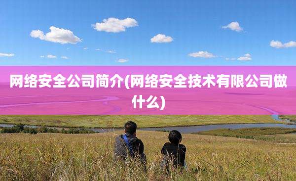 网络安全公司简介(网络安全技术有限公司做什么)