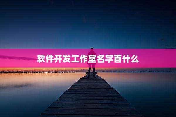 软件开发工作室名字首什么