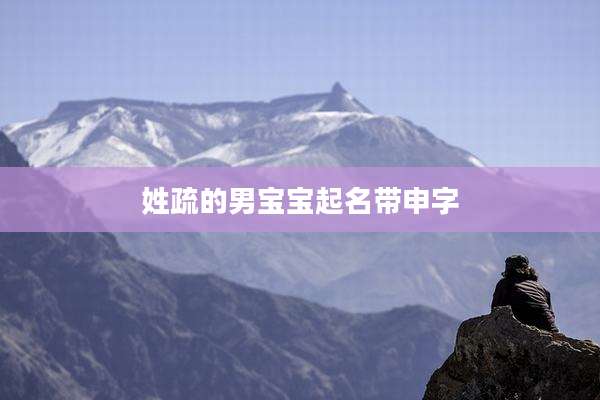 姓疏的男宝宝起名带申字