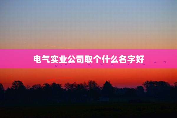 电气实业公司取个什么名字好