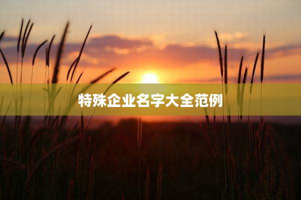 特殊企业名字大全范例