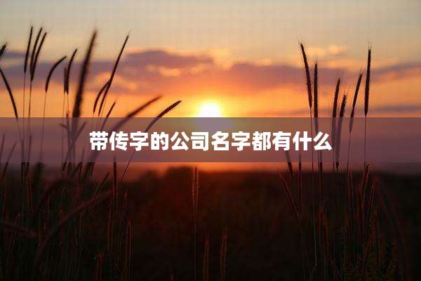 带传字的公司名字都有什么