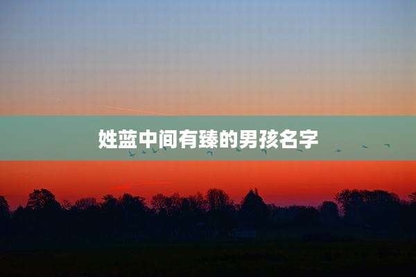 姓蓝中间有臻的男孩名字
