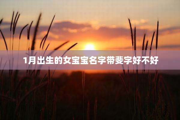 1月出生的女宝宝名字带斐字好不好