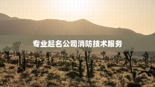 专业起名公司消防技术服务