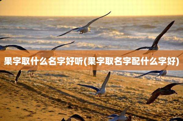 果字取什么名字好听(果字取名字配什么字好)