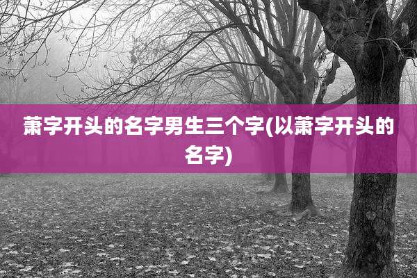 萧字开头的名字男生三个字(以萧字开头的名字)