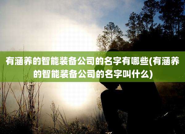 有涵养的智能装备公司的名字有哪些(有涵养的智能装备公司的名字叫什么)