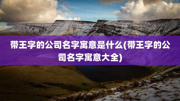 带王字的公司名字寓意是什么(带王字的公司名字寓意大全)