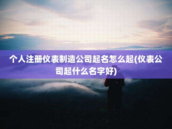 个人注册仪表制造公司起名怎么起(仪表公司起什么名字好)