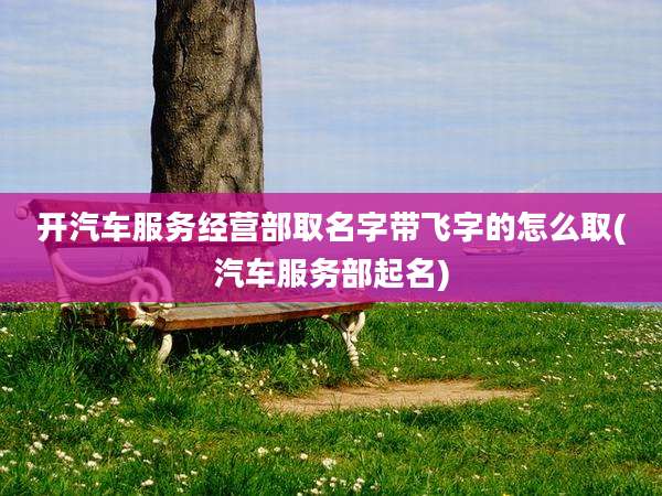 开汽车服务经营部取名字带飞字的怎么取(汽车服务部起名)