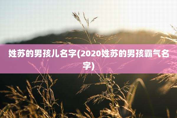 姓苏的男孩儿名字(2020姓苏的男孩霸气名字)