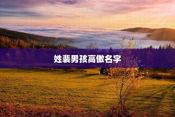 姓裴男孩高傲名字