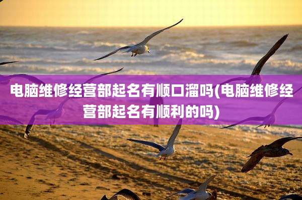 电脑维修经营部起名有顺口溜吗(电脑维修经营部起名有顺利的吗)