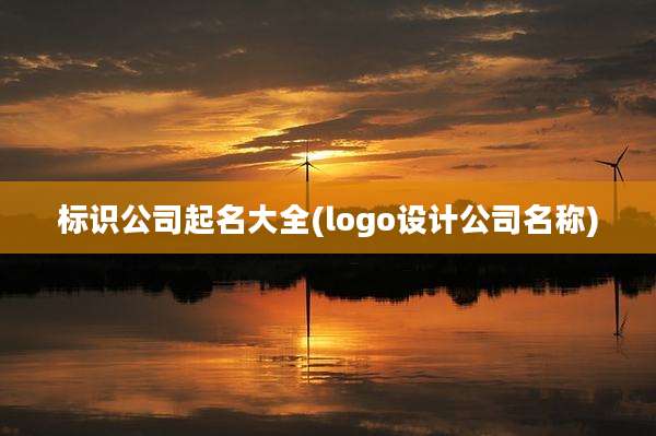 标识公司起名大全(logo设计公司名称)