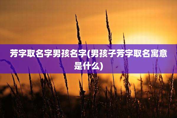 芳字取名字男孩名字(男孩子芳字取名寓意是什么)
