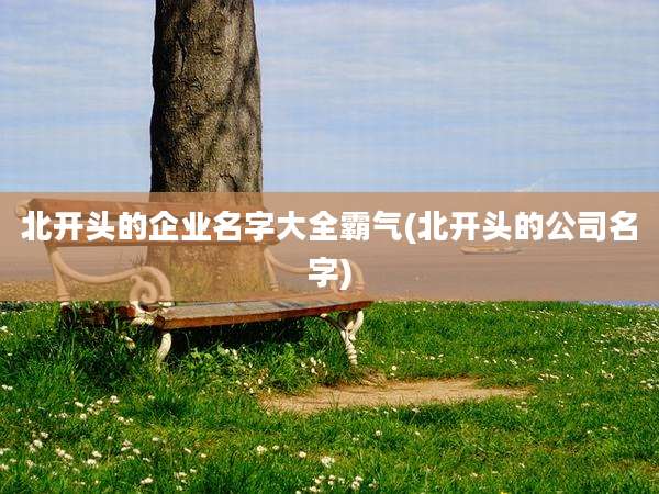 北开头的企业名字大全霸气(北开头的公司名字)